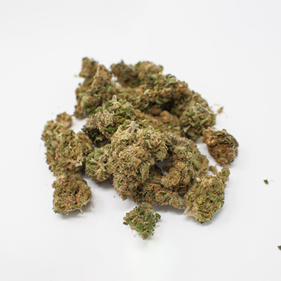 Chocolate Thai Photo Fem-0