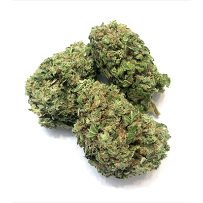 Chocolope Candy Photo Reg-2569