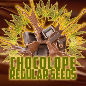 Chocolope Photo Reg-4076