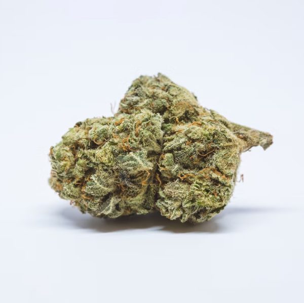Cinderella99 Auto Fem-1514