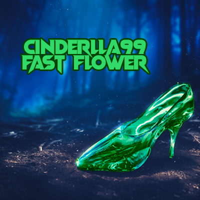 Cinderella99 Fast Photo Fem-4025