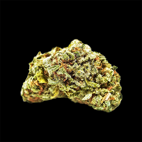 Cinderella Pie Photo Fem-0