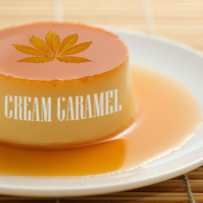 Cream Caramel Photo Fem-2826