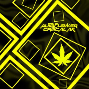 Critical AK Auto Fem-4298