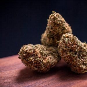 Critical Boom Photo Fem-0