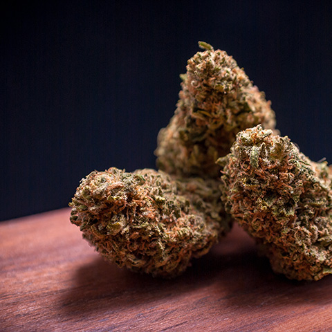 Critical Boom Photo Fem-0