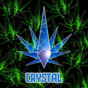 Crystal Photo Fem-3979