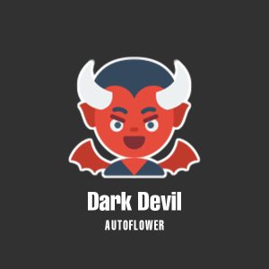 Dark Devil Auto Fem-0