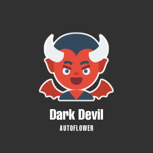 Dark Devil Auto Fem