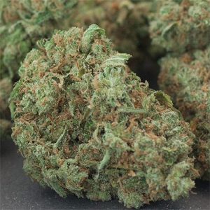 Durban Poison Auto Fem-3156