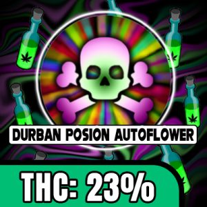 Durban Poison Auto Fem-3909