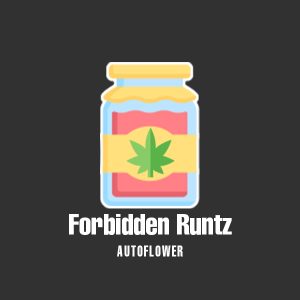 Forbidden Runtz Auto Fem-0