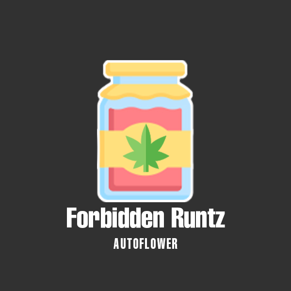Forbidden Runtz Auto Fem-0