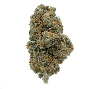 Fruit Auto Fem-0