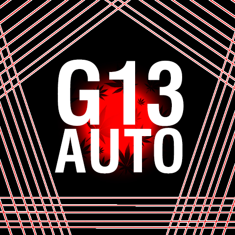 G13 Auto Fem-4017