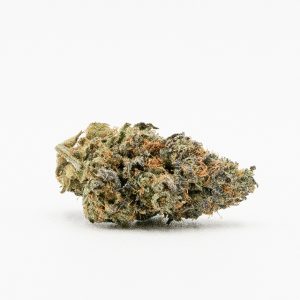 Gelato Photo Fem-3723