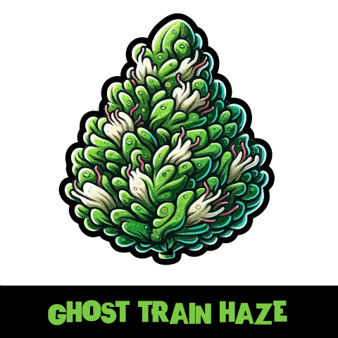 Ghost Train Haze Photo Fem-2152