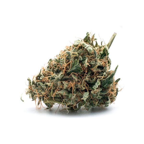 Girl Scout Cookies Photo Fem-2802