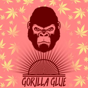Original Glue Photo Reg-4063