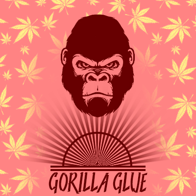 Original Glue Photo Reg-4063