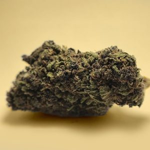 Primate Kush Auto Fem-0