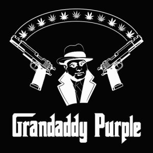 Grandaddy Purple Photo Fem-3024
