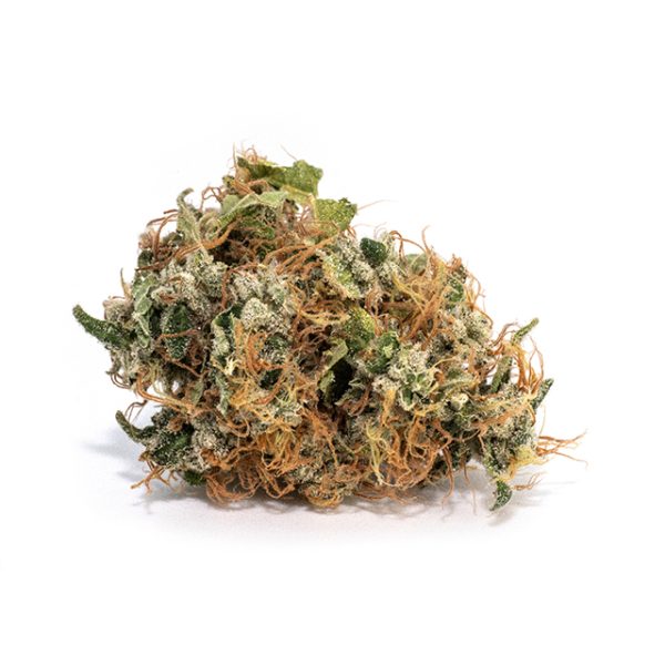 Grandaddy Purple Photo Fem-3021