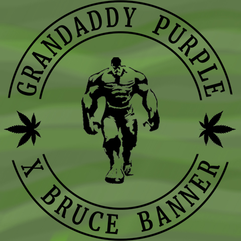 Grand Dad Banner Photo Fem-4099