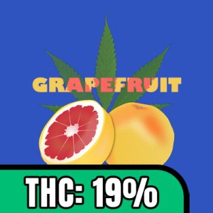 Grapefruit Photo Fem-2865