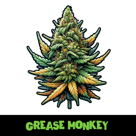 Grease Monkey Photo Fem-1956