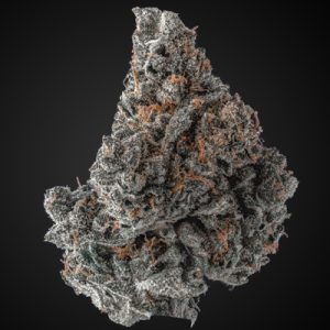 Grease Monkey Photo Fem-1953