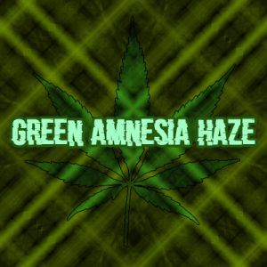 Green Amnesia Haze Photo Fem-3081