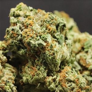 Strawberry Cough Photo Fem-3198