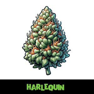 Harlequin Photo Fem-4120