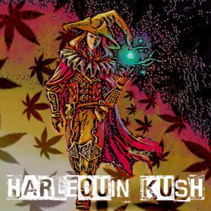 Harlequin Kush Photo Reg-3286