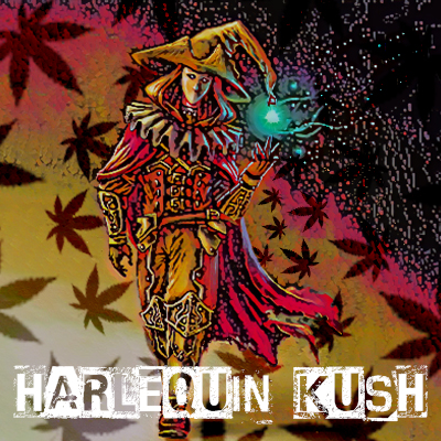 Harlequin Kush Photo Reg-3286