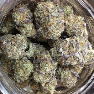 Blackberry Kush Photo Fem-3989