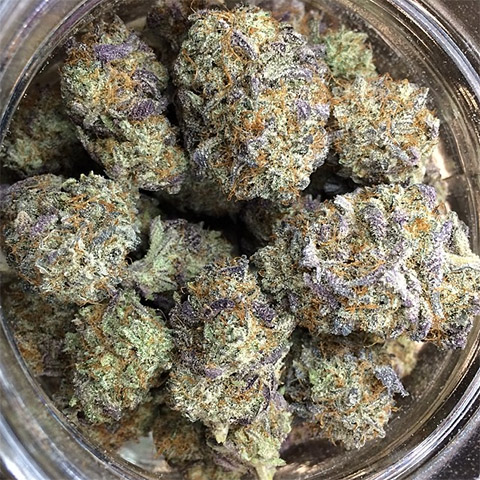 Blackberry Kush Photo Fem-3989