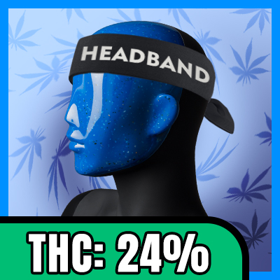 Head Band Auto Fem-1624