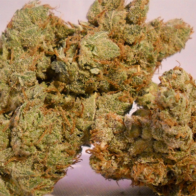 Head Band Auto Fem-1623