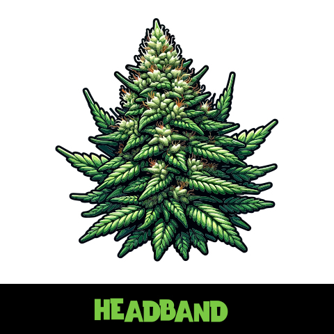 Head Band Photo Fem-2389