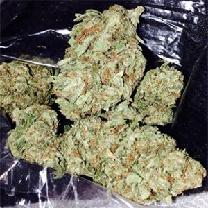 Hellfire Auto fem-1573