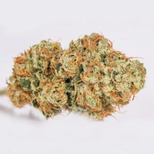 Tangie Photo Fem-0