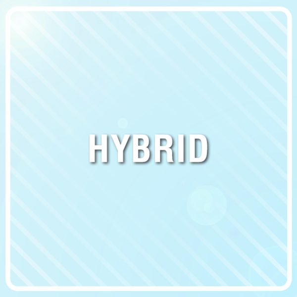 Blue Head Band Photo Fem-3067