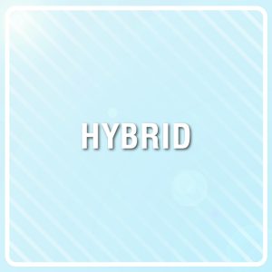 Mimosa XXL Auto Fem-1592