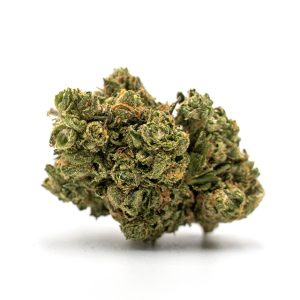 Ice Cream Cake Photo Fem-0