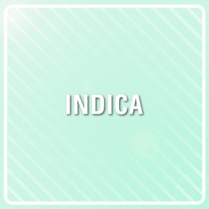 Tijuana Photo Fem-4147