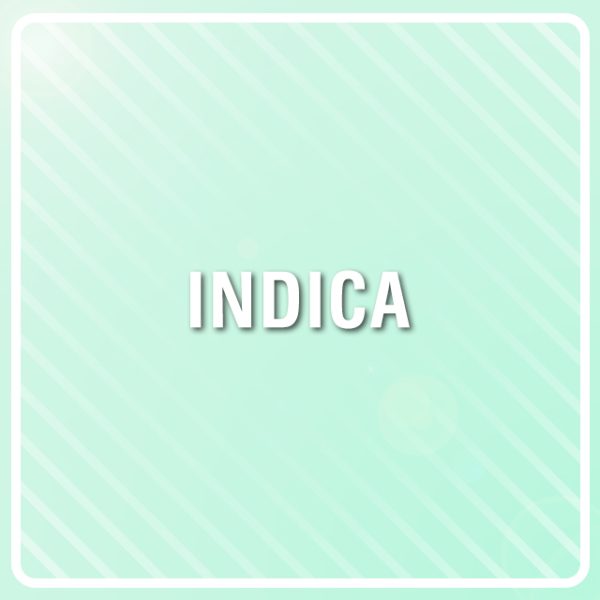 Aurora Indica Auto Fem-1506