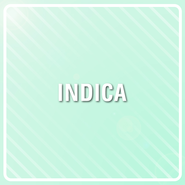 Pure Indica Photo Fem-3980