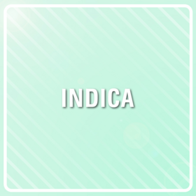 Rotten Zkittlez Photo Fem-2281